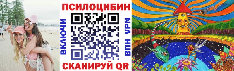 Псилоцибиновые грибы прущие грибы  KRAKEN ссылка  Лениногорск 